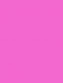039 Pink Carnation