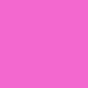 039 Pink Carnation