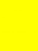 101 Yellow