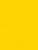 767 Oklahoma Yellow