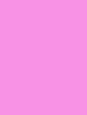 794 Pretty 'n Pink