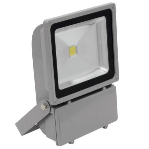 Eurolite LED IP FL-100 COB 6400K Tageslicht